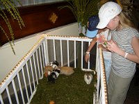 foto 043